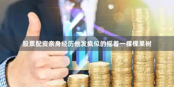 股票配资亲身经历他发疯似的摇着一棵棵果树