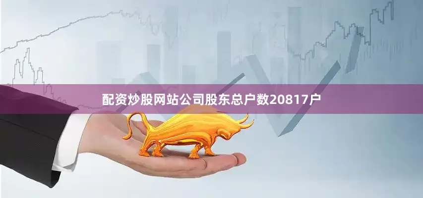 配资炒股网站公司股东总户数20817户