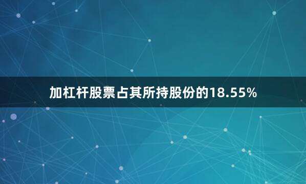 加杠杆股票占其所持股份的18.55%