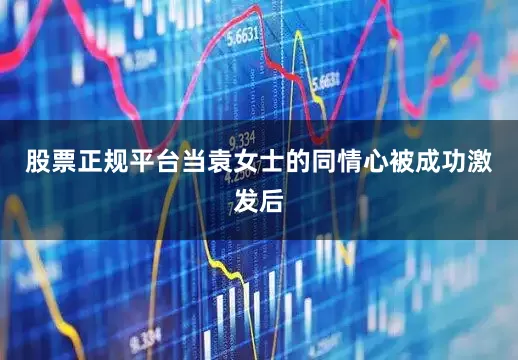股票正规平台当袁女士的同情心被成功激发后